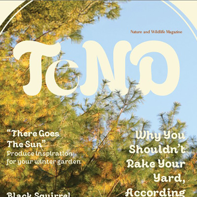 'Tend' Nature and Wildlife magazine cover